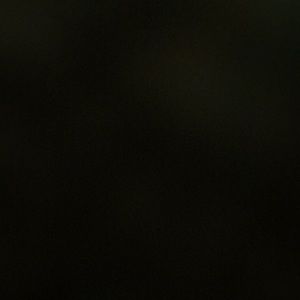 Meet your Posher, Cassandra